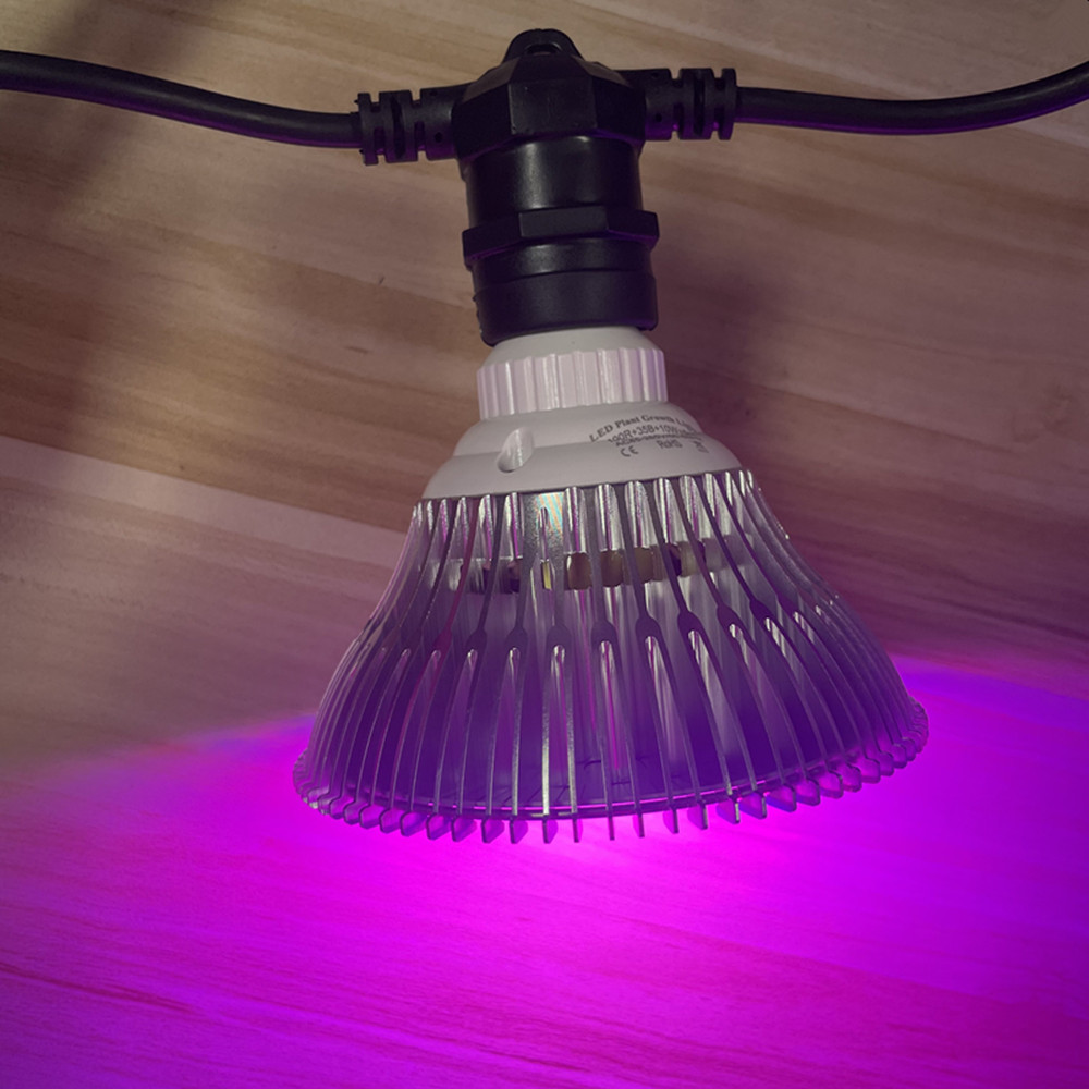 Cadena de luces LED de 10M, re - Led Fairy String Lights reseña y precio