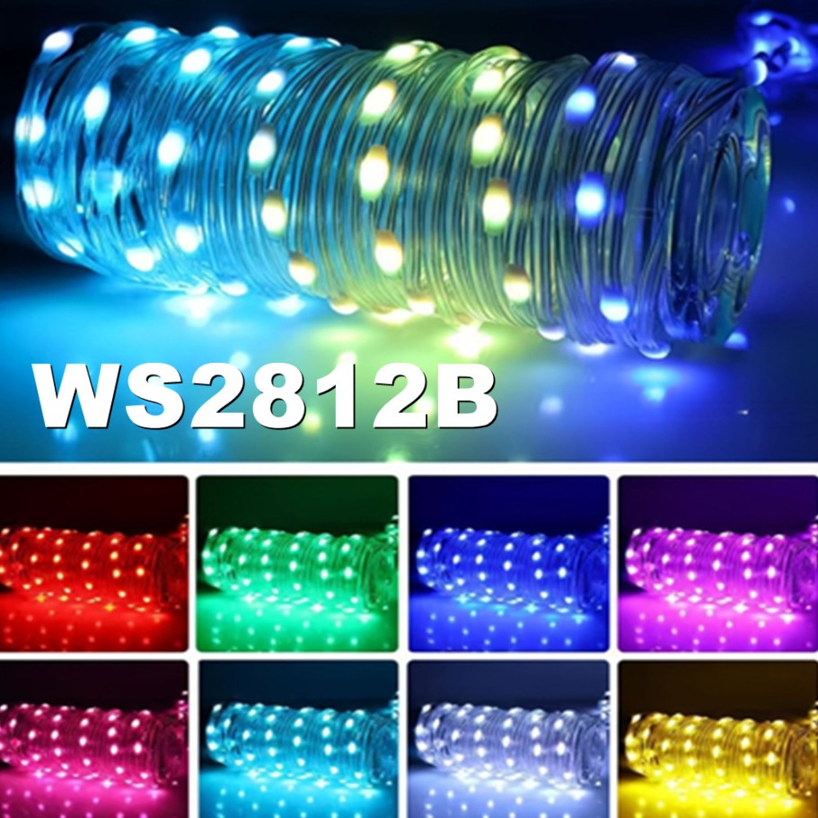 WS2812B Cadena de luz LED inte - Led Fairy String Lights reseña y precio